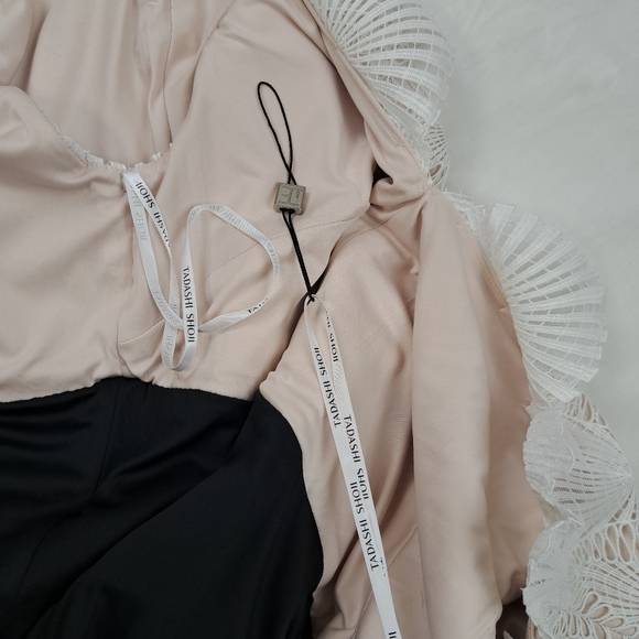 Tadashi Shoji Two Tone Lace Sheath Dress Size 16 - Picture 10 of 16